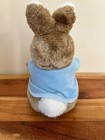 Eden Toys Beatrix Potter Peter Rabbit Bunny Stuffed Plush Blue Jacket Vintage