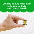 2pk Feline Greenies Adult Natural Dental Care Cat Treats  Catnip Flavor  21oz