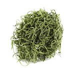 26951 Preserved Spanish Moss  Green