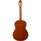 Cordoba C9 Crossover Nylon String Acoustic Guitar