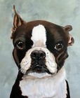 Black Lab Dog Custom Pet Portrait Commission Oil Painting Canvas 5 X 7  Rzzart