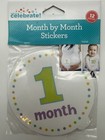 4 Pack First Year Month-by-month Photo Stickers Ships Free 