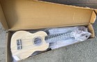 Everjoys 21    Soprano Ukulele W  Bag  Tuner  Strap   Picks