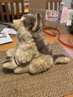Webkinz Signature Timber Wolf Plush Sealed Code Brown Gray Realistic 2009 Retire