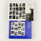 Lot Of Usps Stamps 9 Full Panes 2000-2009 Mint Nh Specialty Sheets See Pics 