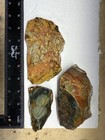 3 Killer Morrisonite Picture Jasper End Cuts Oregon Orbicular Jasper