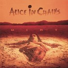 Alice In Chains Dirt Banner 3x3 Ft Fabric Poster Tapestry Flag Album Cover Art