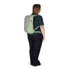 Daylite Pack Special Edition