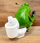 Frog On The Toilet Resin Figurine 6  X 5 