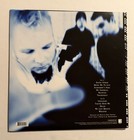 Amy Lee Hand Signed Lp Vinyl Record Album Evanescence Lead Singer Legend Coa