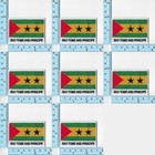 Lot Set Of 8 Sao Tome And Principe Iron On Patches Embroidered Flag Country