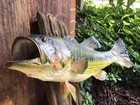 Vtg Real Largemouth Bass Taxidermy Mount 21    Wall Hanging Fish Cabin Lake Decor