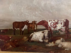 Livestock At Pasture Unsigned Late 19th Century Oil Painting Completely Restored