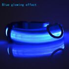 Led Pet Collars Dog Cat Neck Strap Adjustable Size Xs S M L Rechargeable Battery