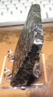 172 Gm Sericho Pallasite Meteorite Slice  Kenya Std Olivine  38  6 Side Cut Jal