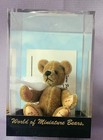 World Of Miniatures Bear Teddy  skylar   Theresa Yang Coa  3 