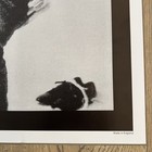 Vintage The Velvet Underground Promo Poster Lou Reed 24x34 Rock Punk Music