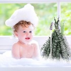 15 Pcs Natural Eucalyptus For Shower Bundle 100  Real Eucalyptus 17  Dried Pr   