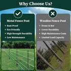 10 Pack Garden Fence Post  5 Feet Heavy Duty Metal U-post For Wire Fence  No Dig