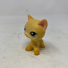 Hasbro Littlest Pet Shop Lps 2006 Yellow Short Hair Cat Blue Eyes Orange 339