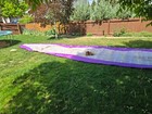 Paraglider Wing