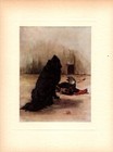 Antique Chow Chow Print C1910 Maud Earl Ch Papoose Chow Wall Art Decor 5016j