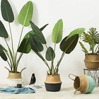 Natural Woven Seagrass Plant Basket With Handles - 9  D X 11  H Storage Solution