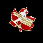 Sugarbush North Skiing Enamel Pin Snow Ski Vermont Resort Travel Souvenir