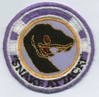 Babylon 5 Embroidered Squadron Iron-on Patch - Snake Attack 