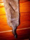 Beautiful Tanned Wild Mink Fur Pelt Skin Taxidermy 4 Feet Claws  Native Craft 7