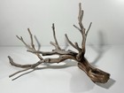 Manzanita Driftwood  Reptile Tank Decor   Aquascape  Terrarium  Aquarium Wood