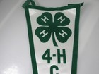 Vintage 4-h Clubs Pennant Banner Flag Velvet Green White 18  Head Heart Health