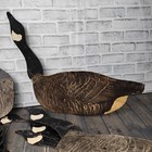 One Dozen Complete 12 Johnson s Folding Goose Decoys Large 8 Regular 4 Feeding