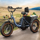 Electric Tricycle For Adults  20  Fat Tire 3 Wheel Electric Bike 960w 55miles 