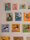 Lot Of 37 Birds Worldwide Stamps - Many Countries