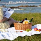 Wicker Picnic Basket With Double Folding Handle   Natural Large Willow Hamper 