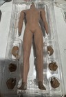 Usded Tbleague Phicen M31 1 6 Seamless Muscular Male Figure Body Steel Skeleton