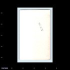 Old Vintage Photo Woman Standing Outside House