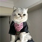 Demon Slayer Nezuko Pet Clothes Dog Cat Cosplay Costume Halloween Birthday Gift