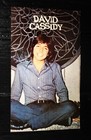 Marie Osmond Alan Osmond David Cassidy Vintage Thailand Only 1 Color Page Rare  