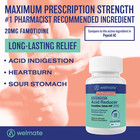 Welmate Famotidine 20mg Acid Reducer  300 Tablets Exp 6 26  generic Pepcid 