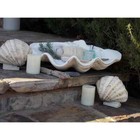 Large Clam Shell Decor Tray Display Seashell Beach Bowl Indoor Realistic Accent