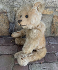 1915 Antique Steiff Teddy Bear 20  Hump Long Arms Steiff Button Shoe Button Eyes