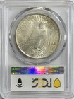 Peace Silver Dollar 1923 Pcgs Ms 62 Uncirculated Us Mint  1 Coin