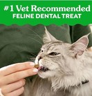 3 Pks Greenies Feline Dental Cat Treats - Savory Salmon Flavor  4 6 Oz Pouch 