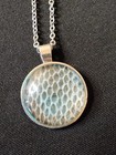 Brand New Handmade Snake Shed Skin Jewelry Necklaces Blue Sliver Chain
