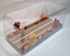 Ho Scale 16  Double Track  fall  Scene  - Display Case - For Any Ho Train