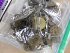Old Vintage Watch Parts Steampunk Gears Jewelry Art Crafts Hobbies 13 Oz