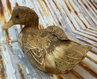 Vintage Lifesize Wooden Hand Carved Duck70 s-80 s Gold Eyes Hand Crafted Coconut