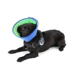 Dog Cone Adjustable Breathable Pet Cone Collar To Prevent Licking And Scratching